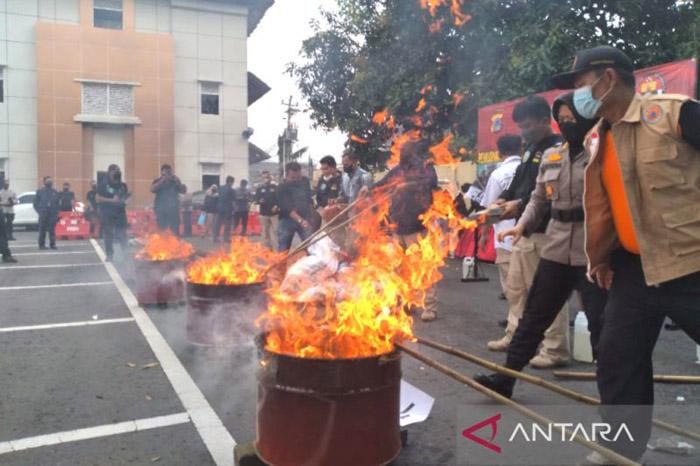 Musnahkan Barang Bukti, Polda DIY Bakar Ganja Seberat 81 Kilogram