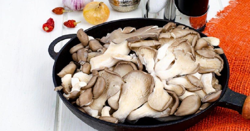 5 Inspirasi Resep Jamur Tiram untuk Menu Sehari-hari yang Bikin Ketagihan