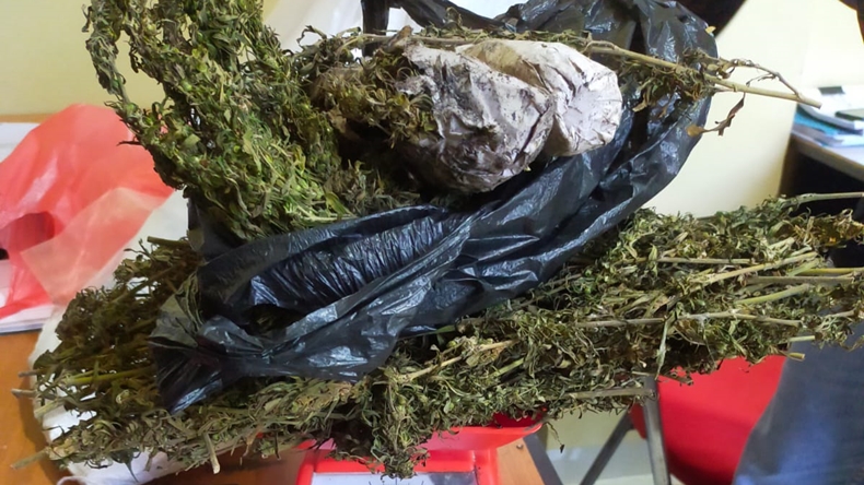Waduh, 1 Keluarga di Lembang KBB Ajak Tetangga Bisnis Ganja