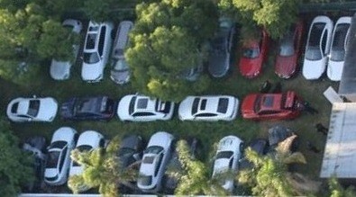 Polisi Temukan 35 Mobil Mewah Curian, Sekelilingnya Banyak Pohon Ganja