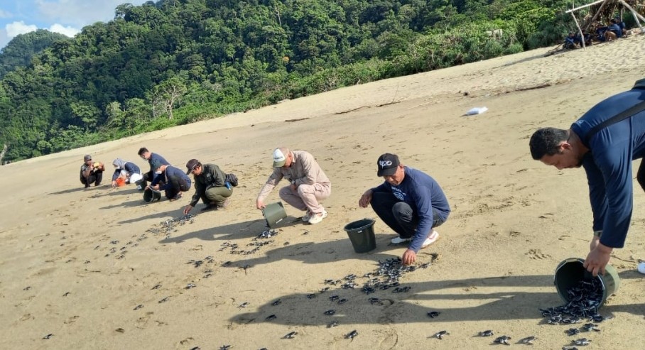 Kurangi Material Berbahaya, Perusahaan Teknologi Kejar Nol Emisi Karbon hingga 2050
