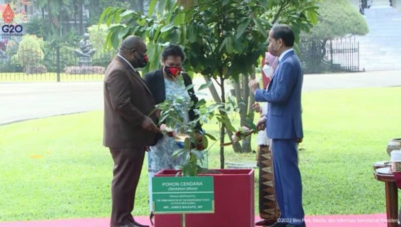 Bertemu PM Papua Nugini, Jokowi Siap Buka Perbatasan dan Perkuat Konektivitas