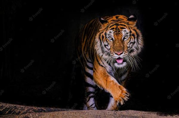 Tuliskan Ciri-ciri Makhluk Hidup, Ini Jawaban dan Penjelasannya