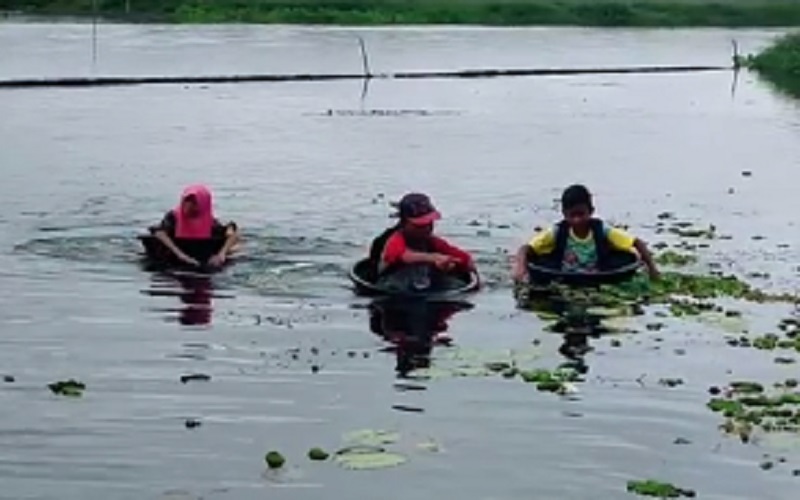 Viral 3 Anak SD Naik Baskom ke Sekolah, Kini Dapat Bantuan Perahu