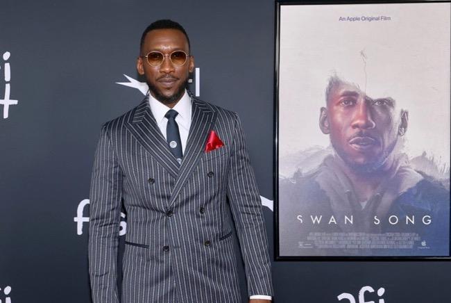 5 Artis Hollywood Pembela Islam, Lantang Menentang Kebijakan yang Tidak Pro terhadap Muslim