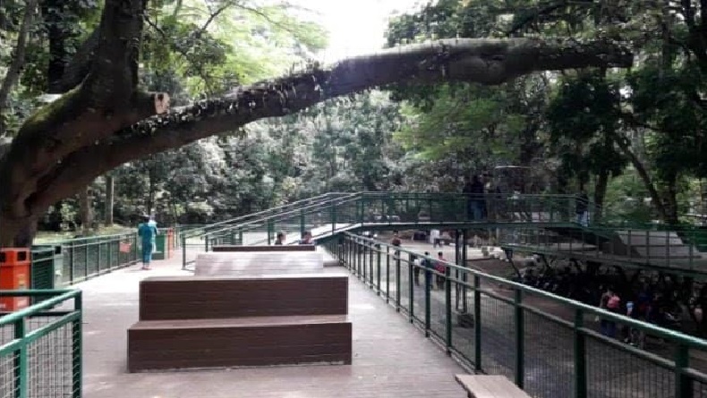 Rencana RTRW 2022-2042, Rimba Kota Segera Dibangun di Bandung