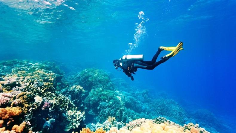 Kemenparekraf Dukung Wisata Selam yang Aman dan Berkualitas melalui Academy of Dive Medicine