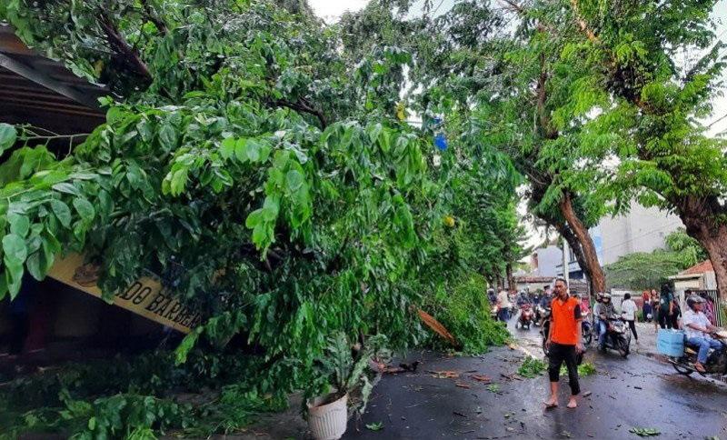 BMKG: Jateng Selatan Masuki Masa Pancaroba, Waspadai Hujan Lebat dan Angin Kencang