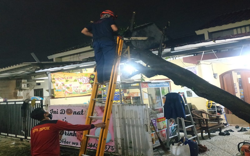 Sawangan Depok Dilanda Hujan Disertai Angin, Pohon Tumbang Timpa Kabel 