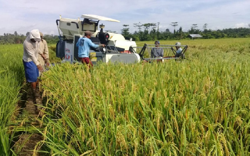 Indonesia Menjadi Raksasa Pangan Dunia, Dekan FP Unhas: ini Syaratnya