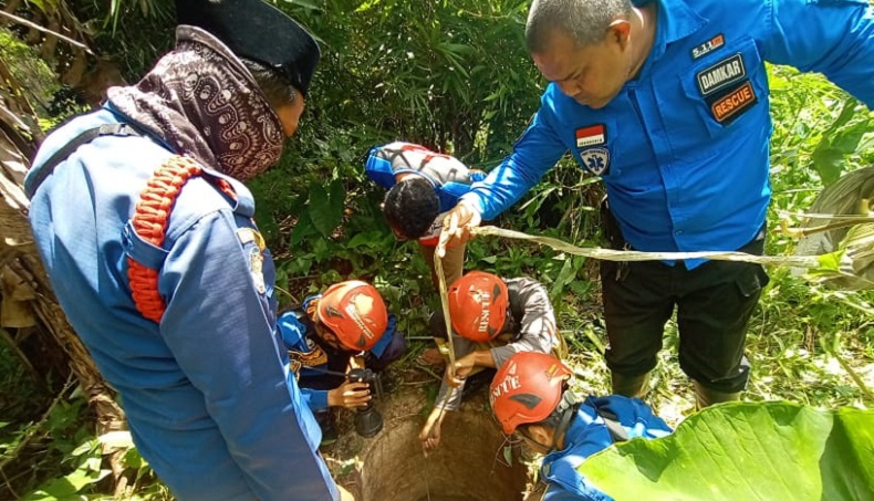 Mau Perbaiki Sumur, Warga Bogor Temukan Ular Kobra 1 Meter