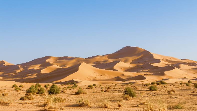 50 Kata-kata Bijak Ali bin Abi Thalib, Bisa Jadi Motivasi dalam Hidup