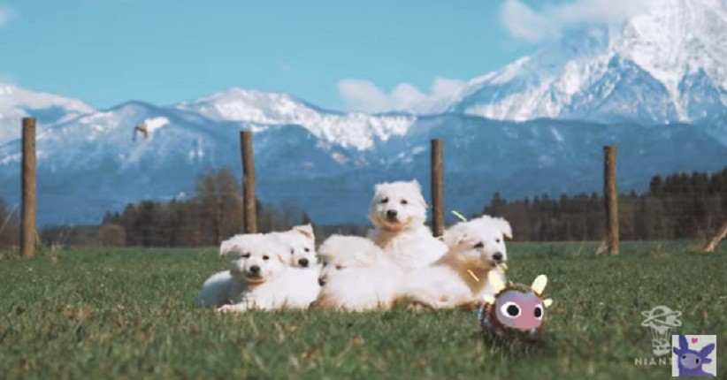 Niantic Bikin Game AR Peridot, Pemain Bisa Merawat Hewan Peliharaan Virtual