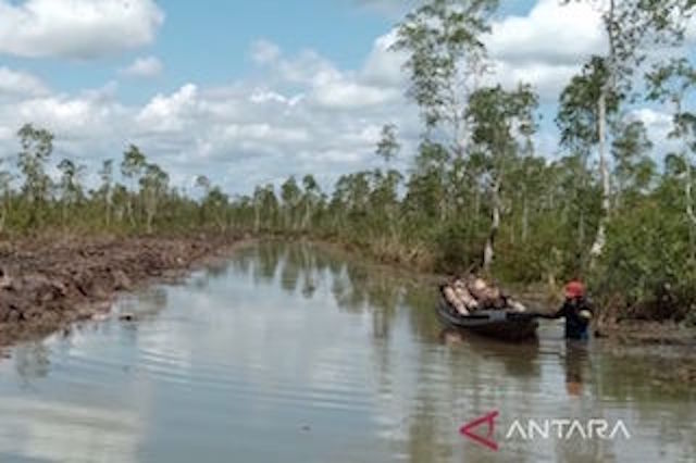 Pertahankan Kearifan Lokal, Desa Jambu Baru Dikepung Perkebunan Sawit