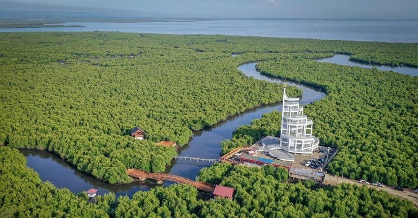 Mengenal Ikon Pariwisata Baru Aceh Tower Forest Park Langsa, Bisa Lihat Selat Malaka