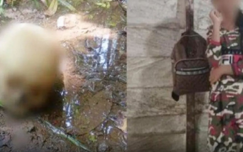 Sadis, Tengkorak Manusia di Banjar Ternyata Bocah Korban Pemerkosaan dan Mutilasi Sepupu