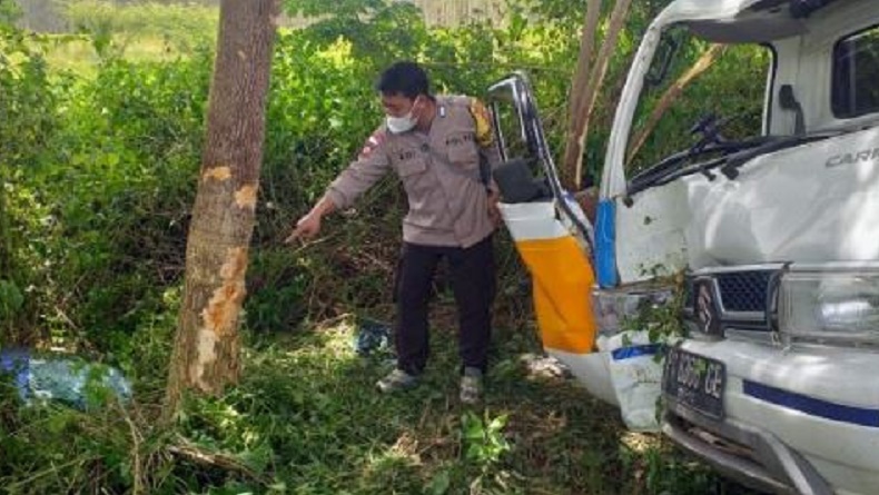 Ban Mobil Terlepas, Pikap Bawa Muatan 17 Orang Tabrak Pohon di Merauke