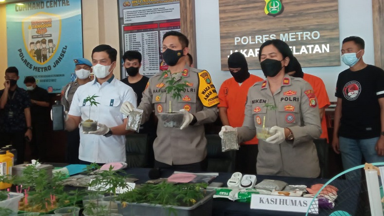 Waduh, 2 Orang di Bekasi Ini Tanam Pohon Ganja hingga 240 Pot