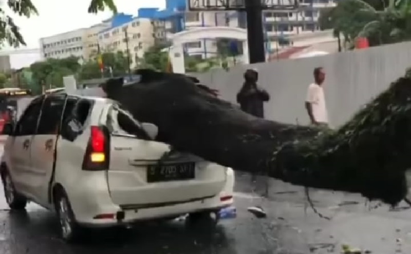 Jakarta Hujan Deras, Pohon di Depan RS Fatmawati Tumbang dan Timpa Mobil