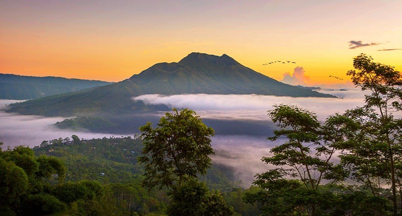 Mau Travelling tapi Waktu Terbatas? Ikut One Day Trip Bersama Mister Aladin Aja!