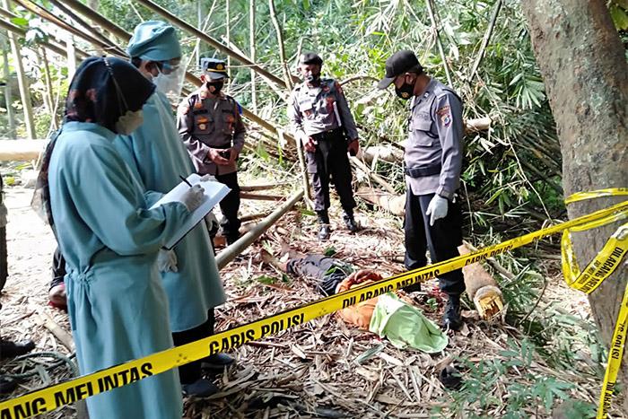 Tragis Warga Kulonprogo Tewas Tertimpa Pohon yang Dipotong