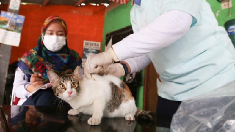 Cegah Rabies, 1.812 Hewan di Jakarta Barat Disuntik Vaksin