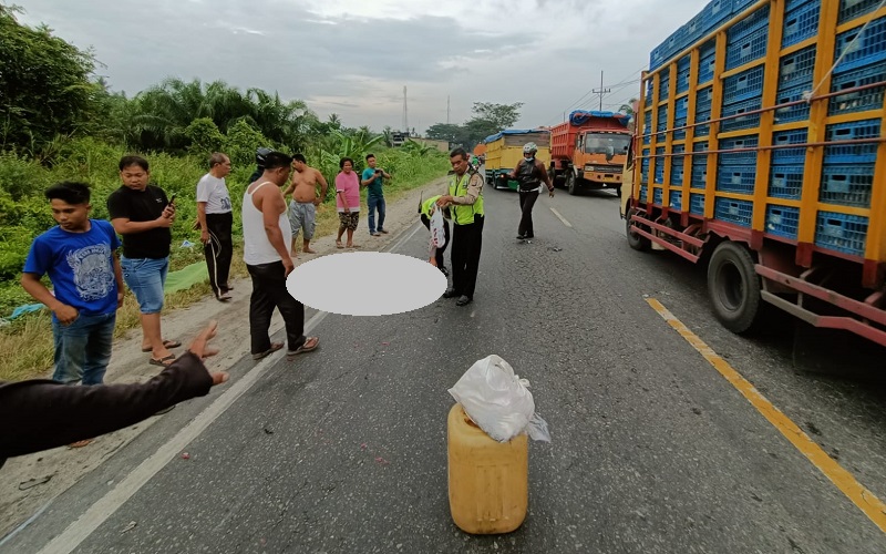 Tragis, Wartawan Senior Tewas Ditabrak Truk Boks di Jalinsum Batubara
