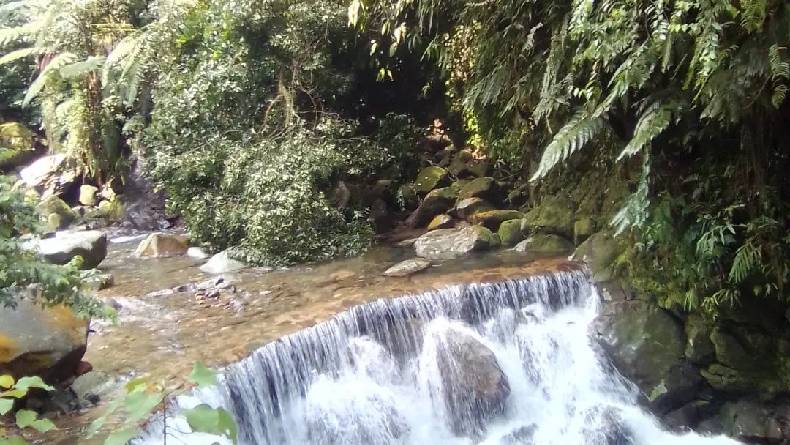 Rekomendasi 5 Tempat Healing di Bogor saat Lebaran