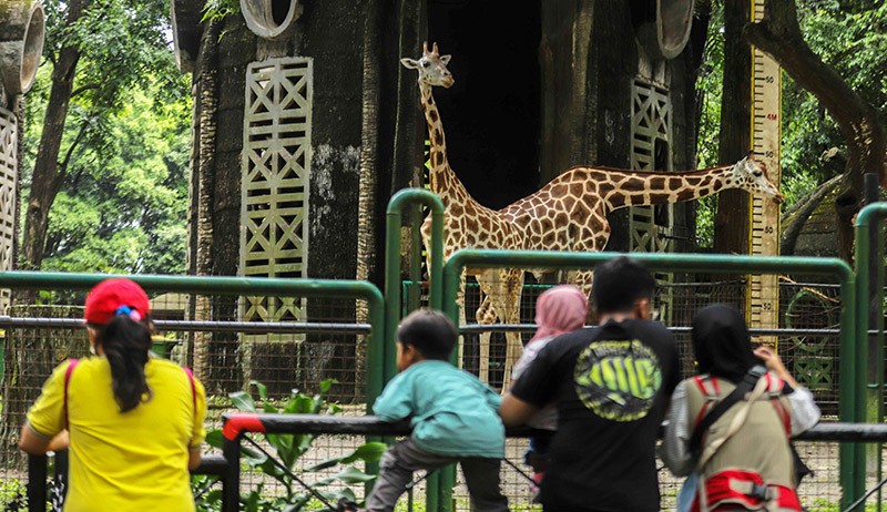 Taman Margasatwa Ragunan Dipadati Lebih dari 25.000 Pengunjung Siang Ini