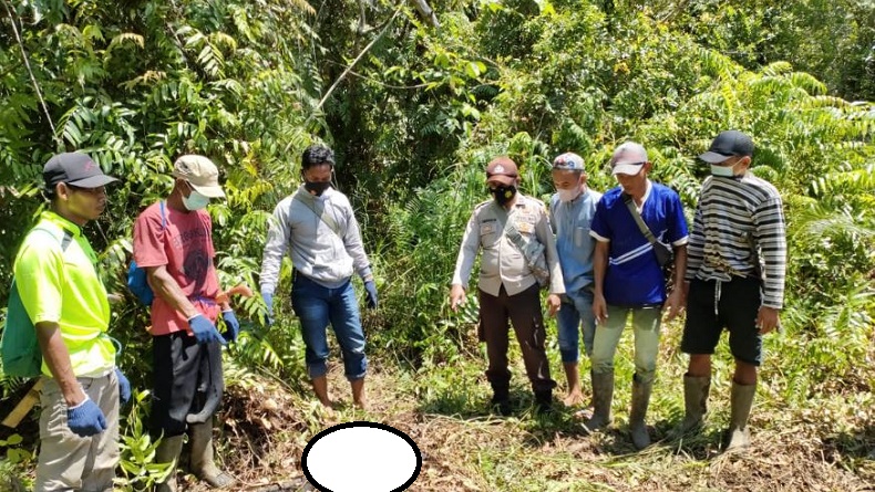Kotabaru Gempar Penemuan Mayat di Hutan, Tersisa Tulang Belulang