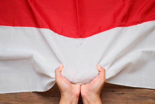 Patriotisme: Pengertian, Ciri, Tujuan dan Bedanya dengan Nasionalisme