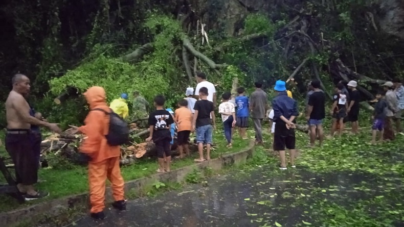Hujan Deras Disertai Angin Kencang Landa KBB, Pohon Tumbang Timpa Rumah Warga