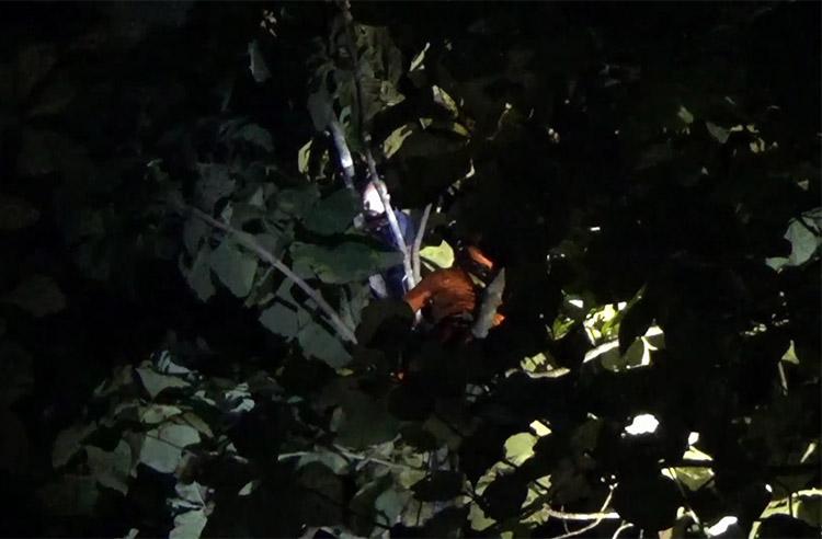 Pamit Merumput, Warga Gunungkidul Ditemukan Berada di Atas Pohon Setinggi 20 Meter 