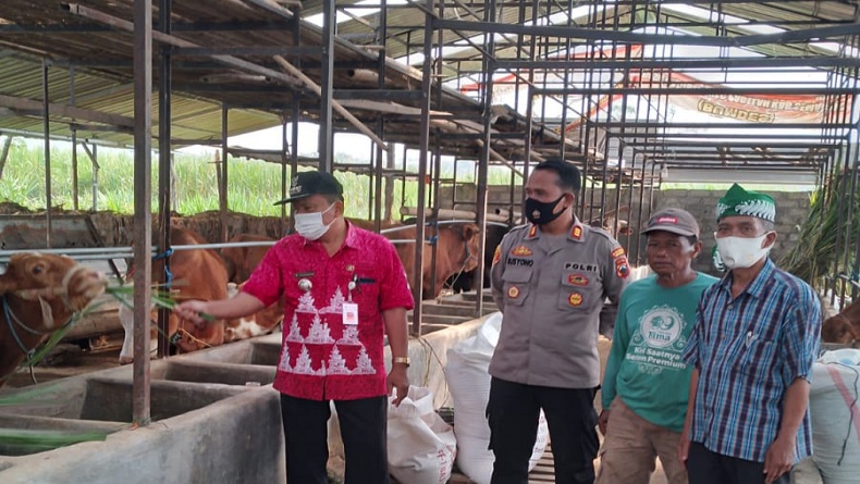 Cegah Wabah PMK Meluas, Polda Jabar Lakukan Pengawasan Hewan Ternak 