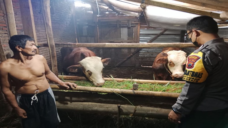 Bhabinkamtibmas di Salatiga Diterjunkan untuk Sosialisasi PMK ke Peternak 