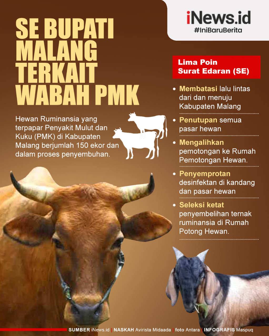 Infografis Bupati Malang Keluarkan SE Pencegahan PMK pada Hewan Ternak 