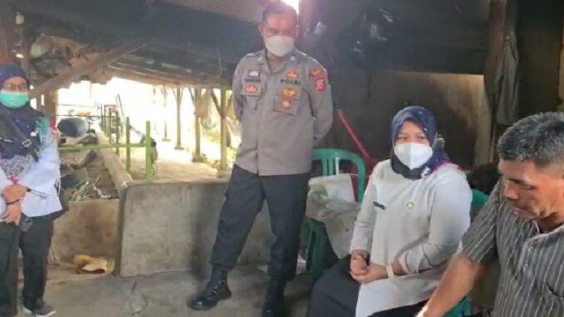 Wabah PMK, Dinas Peternakan Pastikan Belum Ada Sapi di KBB yang Terjangkit