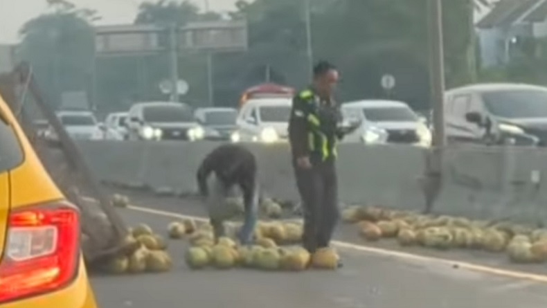 Mobil Pikap Terbalik di Tol Jagorawi, Buah Kelapa Berhamburan di Jalan