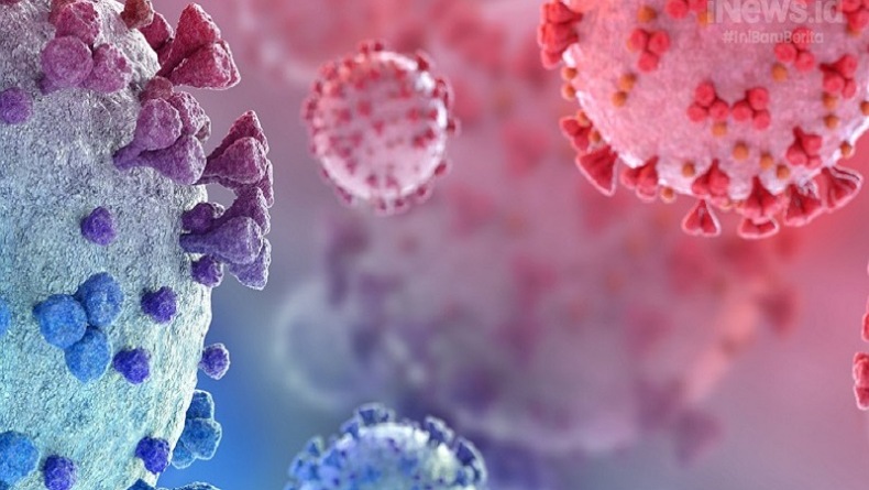 Ramai Virus Hendra di Indonesia, Epidemiolog: Lebih Mematikan Dibanding Covid-19