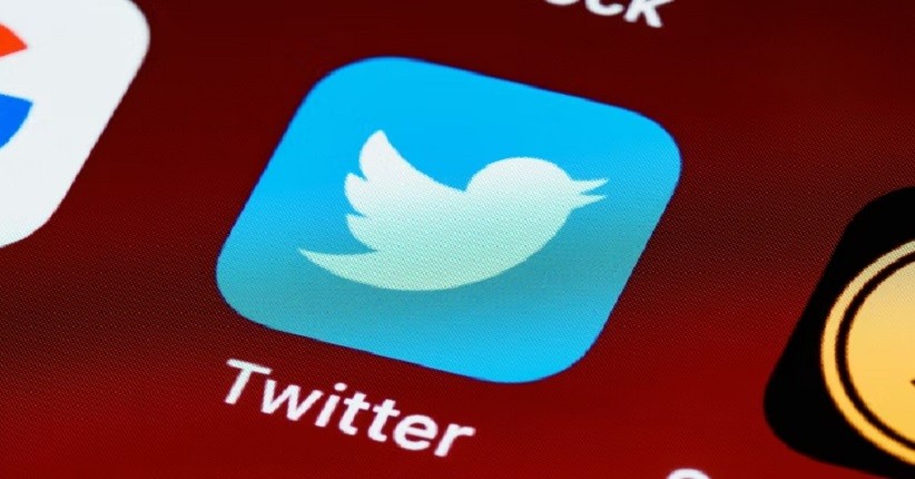 CEO Twitter Jelaskan Usaha Perusahaan Jauhkan Bot, Begini Reaksi Elon Musk