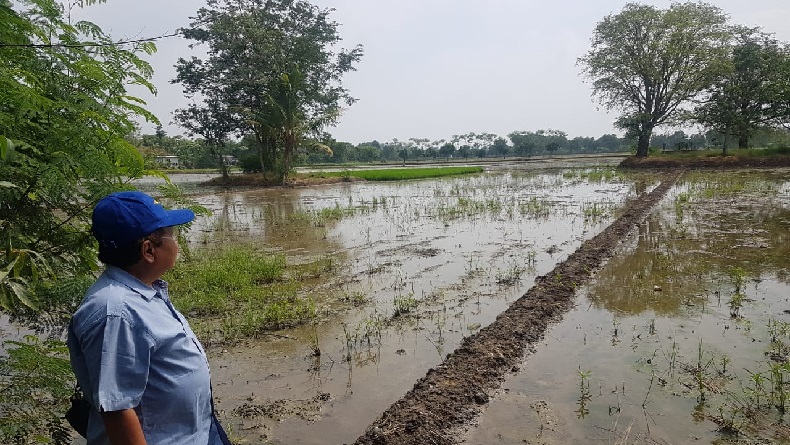 Guru Besar Arkeologi UI Sebut Candi Sambimaya Bukti Peradaban Kuno di Indramayu