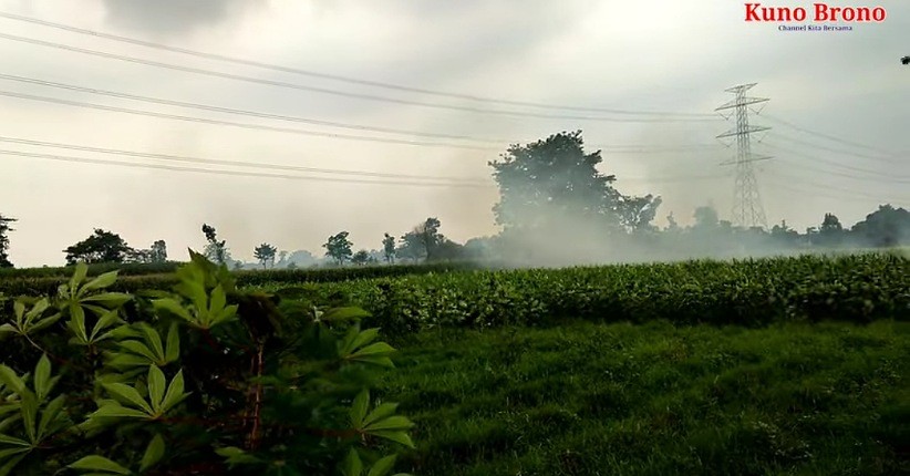Reruntuhan Permukiman Kuno Muncul di Tengah Sawah Desa Klampisan, Dalamnya Bersarang Ular 