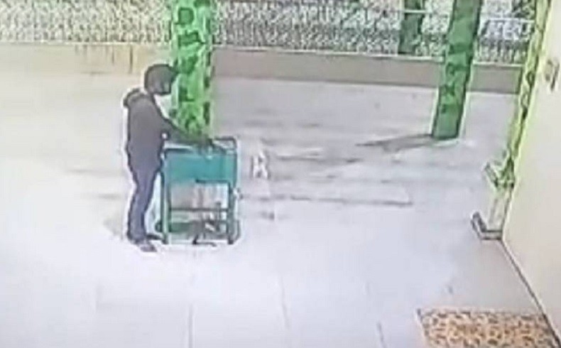 Aksi Nekat Pencuri Kotak Amal Masjid di Katingan, Rekaman CCTV Disebar ke Medsos