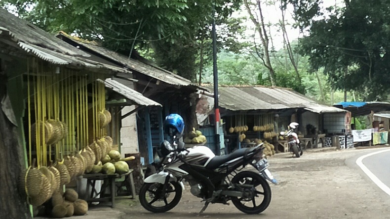 Mengenang Kejayaan Durian asal Cirawa Cipatat KBB yang Sempat Kesohor pada 1980-an