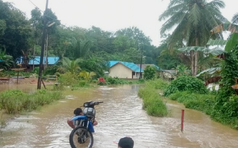 Banjir Terjang 3 Kecamatan di Tabalong Kalsel 