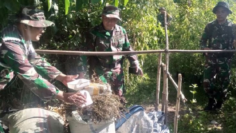 Latihan di Hutan, Anggota TNI Temukan Tumpukan Ganja di Gunung Seulawah Aceh Besar