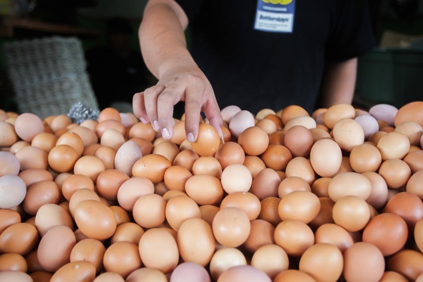 Naik Fantastis, Segini Harga Telur di Majalengka di Awal Pekan