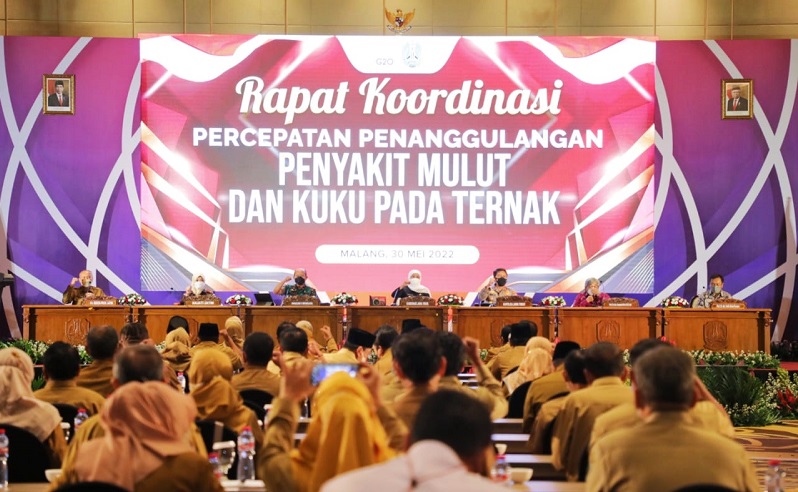 Pemerintah: Kerugian akibat Penyakit Mulut dan Kuku Capai Rp9,9 Triliun 
