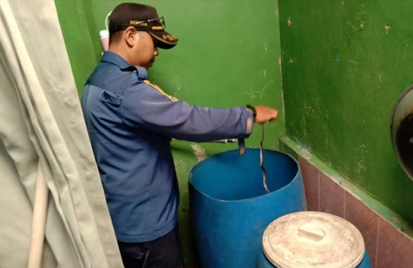Warga Bojonggede Geger Lihat Ular di Bak Mandi, Damkar Turun Tangan