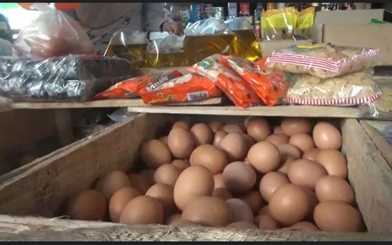 Harga Telur Ayam di OKI Naik, Apa Penyebabnya?